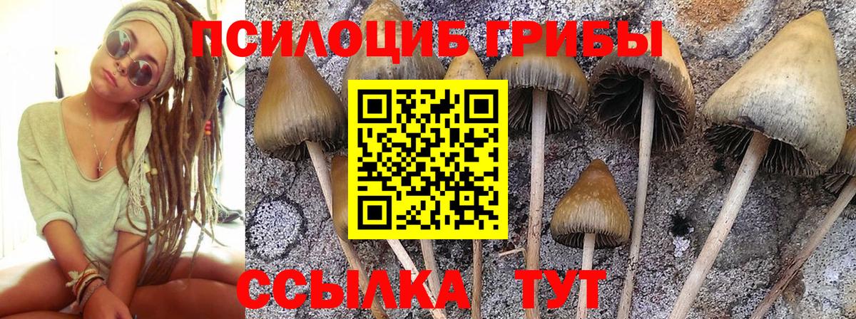 Галлюциногенные грибы Magic Shrooms Октябрьский