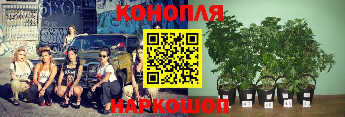 Канабис Bruce Banner  Бошки марихуана Ganja  Бошки Шишки сатива  Вход с VPN  Октябрьский  МАРИХУАНА индика 